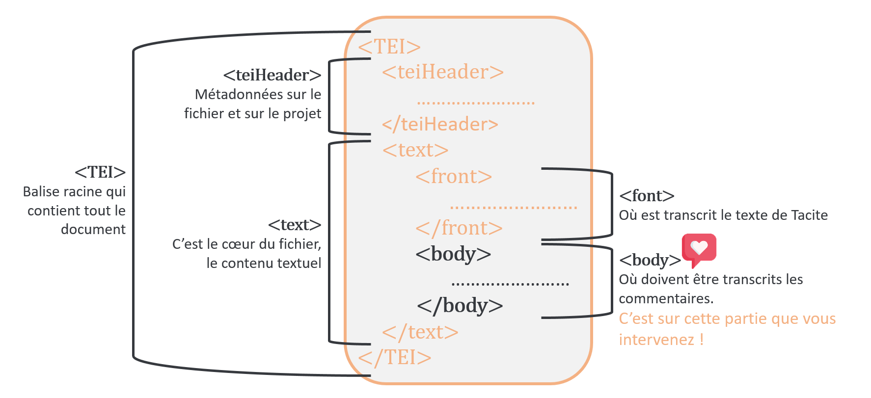 Organisation du fichier XML-TEI