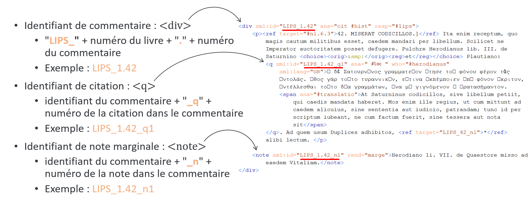 Organisation du fichier XML-TEI